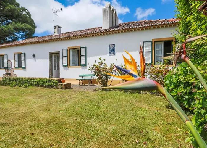 招待所 Domus Adepta Family W Garden 富尔纳斯