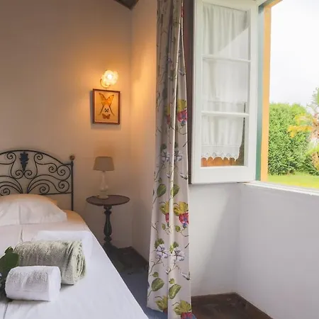 Domus Adepta Family W Garden 3*